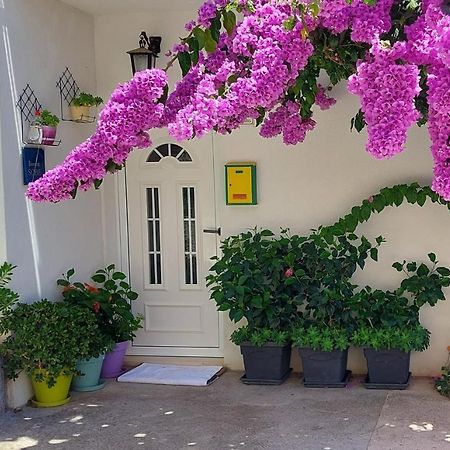 חוואר Guest House Mediterranean מראה חיצוני תמונה